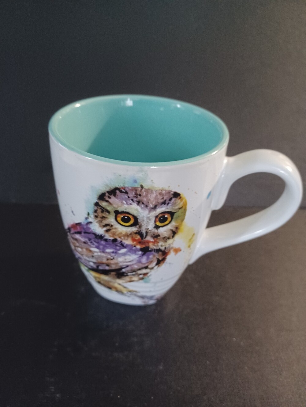 Colorful Watercolor Owl Stoneware Coffee Mug by Dean Crouser.  No chips, cracks